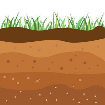 Underground soil layers, green grass surface.Brown clay structure, topsoil field environment and nature geology illustration. Soil layers