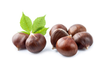 Horse chestnut on white backgrounds.