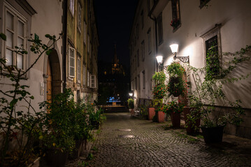 Scenic little Krizevniska alley in Ljubljana illuminated at night, arranged with plants at the sides