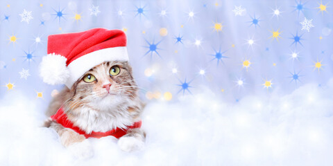 Kitten rests on white cloud. Cat 
in Santa costume. Cat looks at the camera. Kitten on a white background. Happy New Year. Merry Christmas. Web banner copy space. Yellow blue stars. Ukrainian symbols
