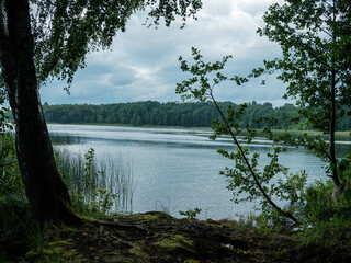 beautiful countryside lake in summer with reflections