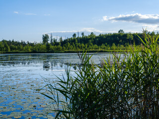 beautiful countryside lake in summer with reflections