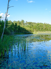 beautiful countryside lake in summer with reflections