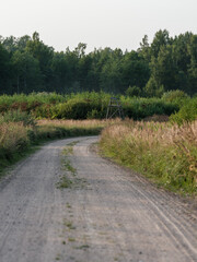 country gravel road in perspective