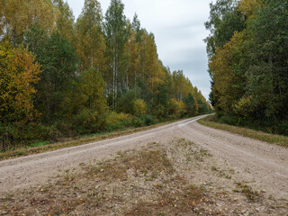 Fototapeta premium country gravel road in perspective