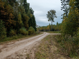 country gravel road in perspective