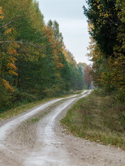 country gravel road in perspective