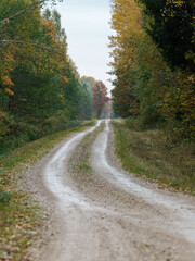 Obraz premium country gravel road in perspective