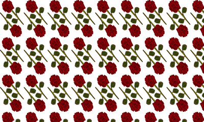 rose flower pattern colored hand drawn