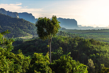 Obraz premium Natural background, high angle from the high mountains that can see the scenery around, the wind blows through the cool, blurred of traveling, the integrity of the moist forest.
