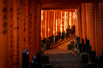 Fototapeta premium Fushimi Inari Shrine