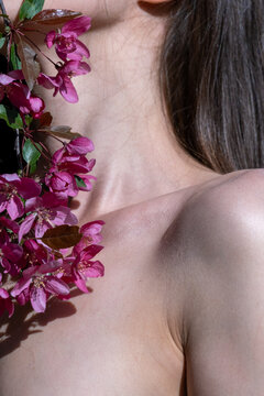 Young slim woman poses with blooming branch of pink flowers. Brunette lady puts blossom on bare body showing thin neck and collarbone closeup vertical