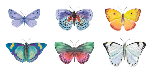 set of watercolor butterflies for postcards, design, invitations. Illustration of colorful butterflies.
