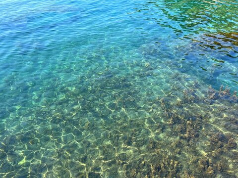 Sea turquoise clear water with glittering surface and algae on seabed.