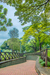 New pathway and beautiful trees track for running or walking and cycling relax in the park on green grass field on the side of the golf course. Sunlight and flare background concept.