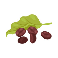 Isometric Coffee Beans