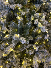 White Lights on Christmas tree branch