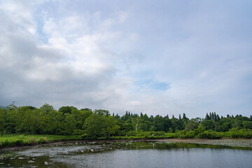 初夏の夕方のいもり池