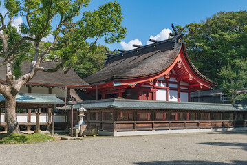 Obraz premium 福岡 宗像大社 本殿