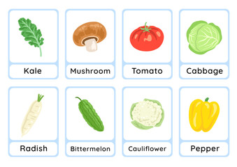 Vegetable flashcard collection for children education, printable montessori material