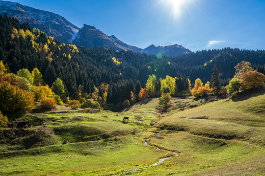 Asagi Koyunlu Balik Golu view in Savsat Town of Turkey