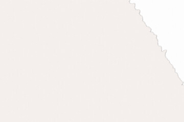 TORN PAPER WITH TRANSPARENT BACKGROUND