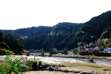 田舎の風景　いつもそばにある自然