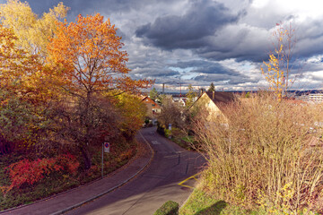 Beautiful autumn trees at street named Hüttenkopfstrasse at City of Zürich on a cloudy autumn afternoon. Photo taken November 20th, 2022, Zurich, Switzerland.