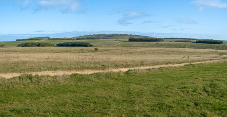 Obraz premium wide-angle panorama scenic view of woodland copse, chalkland meadows and a tump, Sidbury Hill, Wiltshire