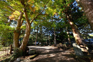田舎の風景　いつもそばにある自然
