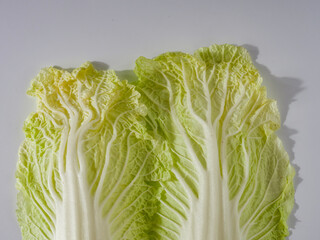 Chinese cabbage on white background