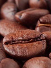 roasted coffee beans macro on a white background with free space