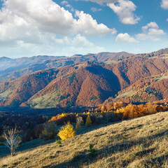 Fototapeta na wymiar Morning fog in autumn Carpathian. Mountain landscape with colorful trees on slope.
