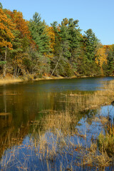 autumn time at ausable river ontario canada on a sunny day