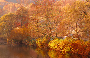 in a misty foggy morning on the river. Bóbr river in the Bóbr valley in the surrondings of Pilchowice in Poland in autumn