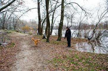 person walking with dog in winter park with snow