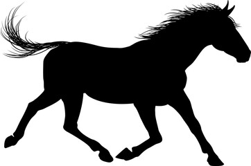 Horse Animal Silhouette