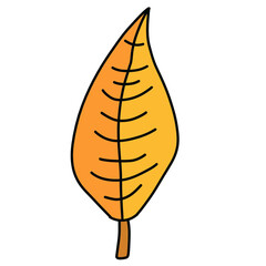 Leaf autumn image illustration