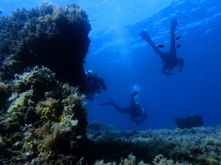 Fototapeta na wymiar Scuba divers and reef