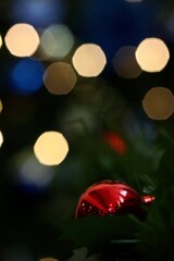 christmas tree lights