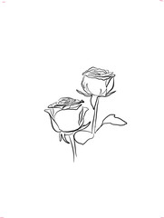 rose