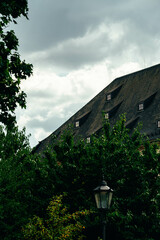 old house in the forest