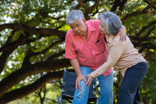 Asian Senior Man Falling Down On Lying Floor At Park After Stumbled  And Crying In Pain And Him Wife Came To Help Support. Concept Of Old Elderly Insurance And Health Care