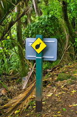 Warning sign along the Heaphy Track, Kahurangi National Park, New Zealand: do not disturb the giant endangered snails, Powelliphanta spp.

