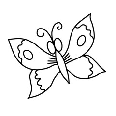 black and white butterfly