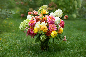 Fototapeta Kompozycja kwiatowa z kwiatów dalii, astrów i hortenji w ogrodzie, bukiet kwiatów, bouquet of flowers	 obraz