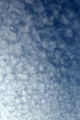 Autumn blue sky background covered with Cirrocumulus clouds.