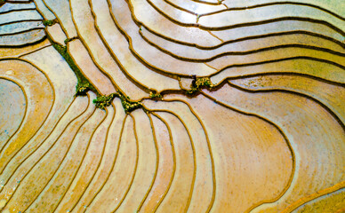 Terraced fields to prepare water for rice cultivation in Vietnam