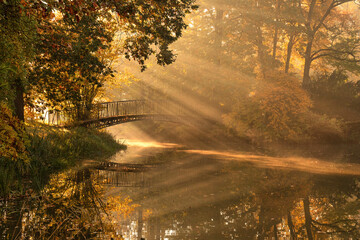 Jesienny mglisty poranek w promienie słońca - obrazy, fototapety, plakaty
