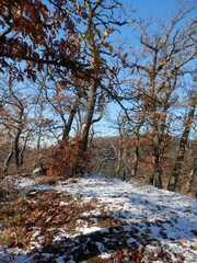 Fototapeta na wymiar der 1. schnee im herbst, Neustadt im Südharz, die Ruine Heinrichsburg, das Felsentor, der zugefrorene Gondelteich und die Vogteiruinen